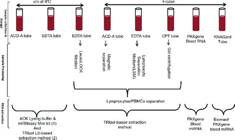 Sample collection, processing and RNA extraction: Whole blood was ...