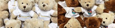 Printed Promotional Logo Teddy Bears & Corporate Giveaway Gifts from £4.50