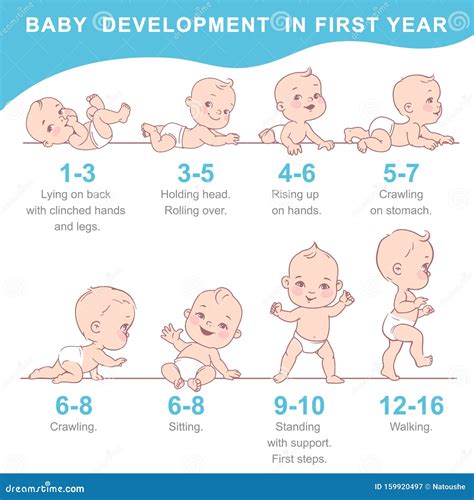 Baby Growth Stock Photo | CartoonDealer.com #11967792