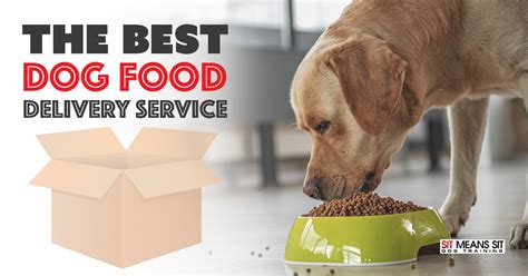 Choosing the Best Dog Food Delivery Service | Sit Means Sit - The ...