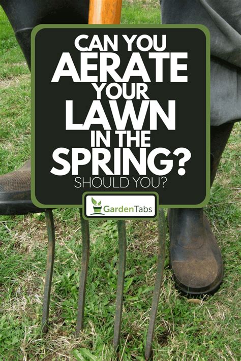 Can You Aerate Your Lawn In The Spring? Should You?