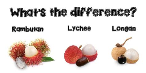 Lychee, Longan, and Rambutan | Thomas Fresh