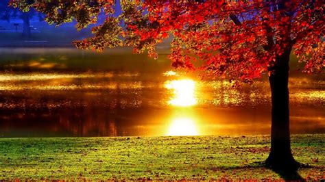 Autumn Sunset Wallpapers - Top Free Autumn Sunset Backgrounds ...