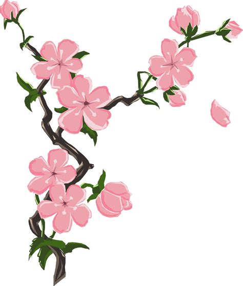 Clip Art Cherry Blossom - Cliparts.co