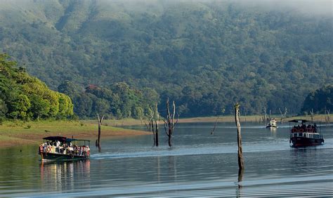 Thekkady Boating: Experience Tranquil Forest Lake Cruise