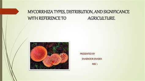 mycorrhiza types, distribution and significance. | PPT