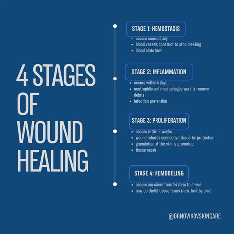 The Four Stages of Wound Healing - DR. NOVIKOV WELLNESS AND SKIN CARE