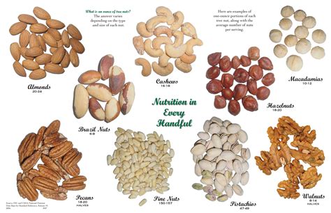 1 oz servings of different types of tree nuts. (almonds, cashews ...