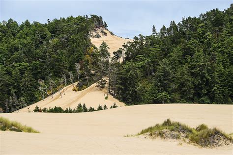 GUIDE TO THE OREGON DUNES - UTV Action Magazine