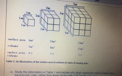 Solved Table 1: An illustration of the surface area to | Chegg.com