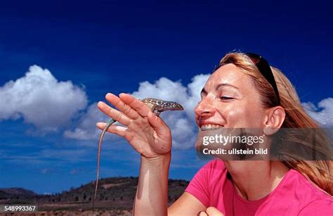 65 Whiptail Lizard Stock Photos, High-Res Pictures, and Images - Getty ...