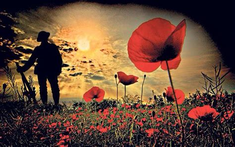 Poppies | Soldier silhouette, Remembrance day poppy, Anzac day