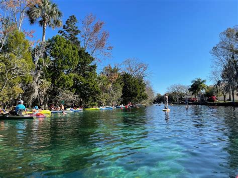 Crystal River Manatee Tours - Kayak, Paddleboard and Swim - Knockabout