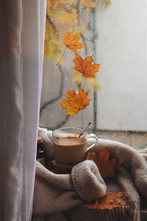 Autumn Photo of a Cup of Coffee · Free Stock Photo