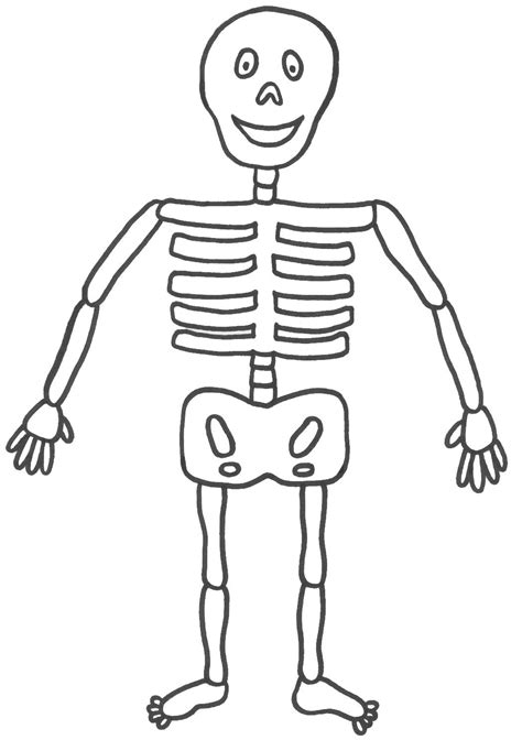 Free Picture Of A Skeleton For Kids, Download Free Picture Of A ...