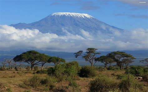 Kilimanjaro Wallpapers - Wallpaper Cave