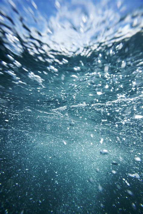 Underwater Bubbles Rising To Ocean Sea #1 Photograph by Lewis Mulatero ...