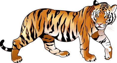 Clipart animals tiger, Clipart animals tiger Transparent FREE for ...