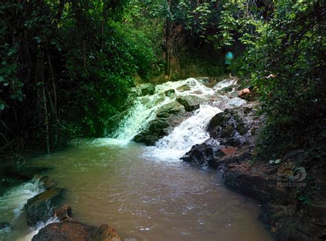 Adyar Waterfalls, Mangalore - Around Mangalore