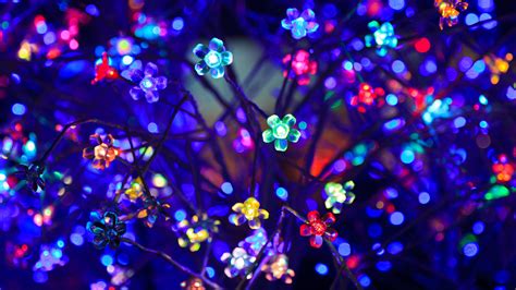 Bulbs Flowers Neon Light Lighting Glare Bokeh Colorful 4K HD Wallpapers ...