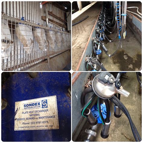 DAIRY EQUIPMENT AND MILKING MACHINES (FOR SALE) | Machinery