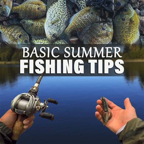 Basic Summer Fishing Tips - Fishing Nice