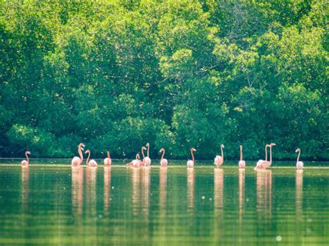 National Parks of Cuba walking holiday | Responsible Travel