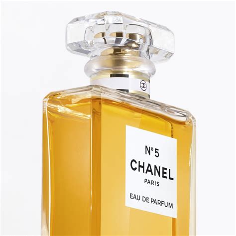 összeg Kompetitív Beiktathat chanel n 5 edp megdöbbentő Karima számítógép