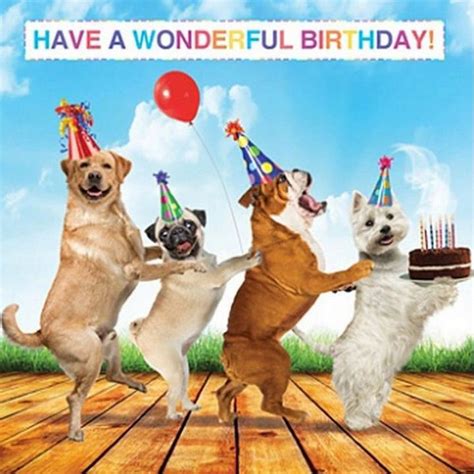 happy birthday memes dogs – Happy Birthday Memes