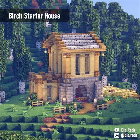 Dio's *Things*: #DioRods Minecraft survival starter house, biome:...