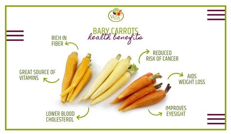 Baby Carrots Benefits - Vega Produce: Eat Exotic, Be Healthy