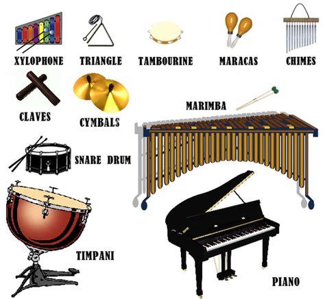 BEST!! PERCUSSION instruments are played by either striking (with hands ...