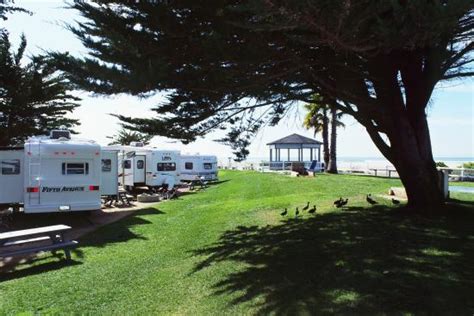 PISMO COAST VILLAGE RV RESORT - UPDATED 2018 Prices & Campground ...