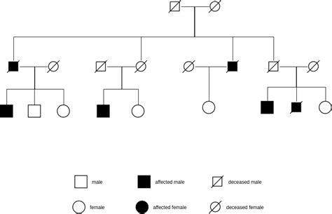 Online Pedigree Chart Tool