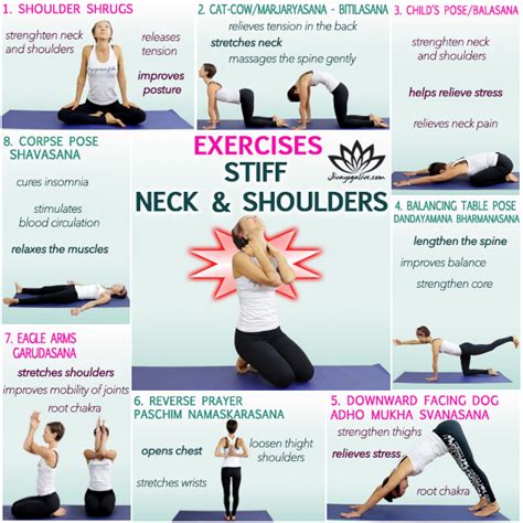 8 Easy Exercises For Pain In Neck and Shoulders - Jivayogalive