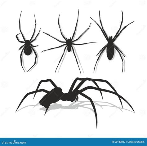 Spiders. Stock Vector - Image: 55189827