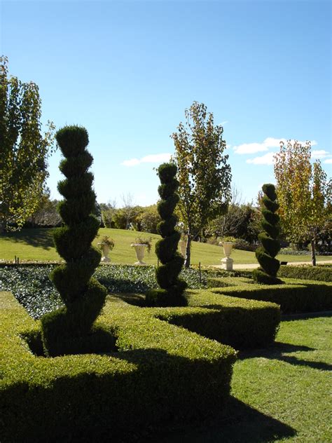 53 Stunning Topiary Trees, Gardens, Plants and Other Shapes