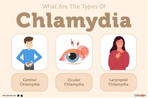 Chlamydia: Causes, Symptoms, Treatments And More