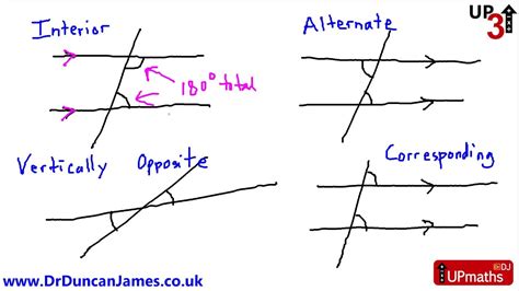 Alternate Interior Angles Definition In Hindi | Review Home Decor