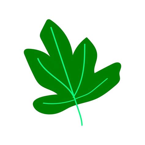 fig leaf. hand drawn. minimalism icon sticker 5223672 Vector Art at ...