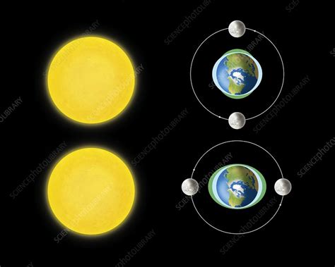 Neap and spring tides, diagram - Stock Image - C008/9850 - Science ...