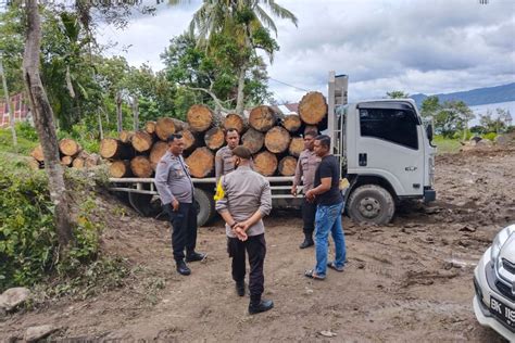 Penebangan hutan pinus ilegal di Desa Hutaginjang Samosir diadukan ke ...