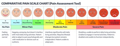 Pain Level Chart Free Microsoft Excel Templatespreadsheet Template ...