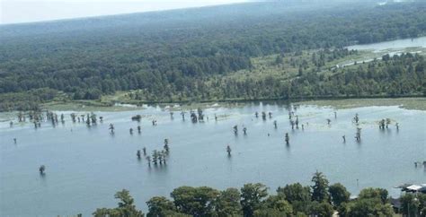 Reelfoot Lake - Alchetron, The Free Social Encyclopedia