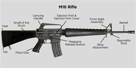 Rifle Diagram Parts