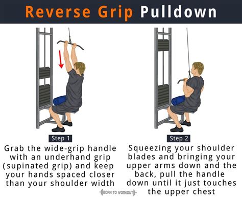 Lat Pulldown Reverse Grip