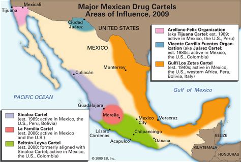 Drug Cartel Hierarchy