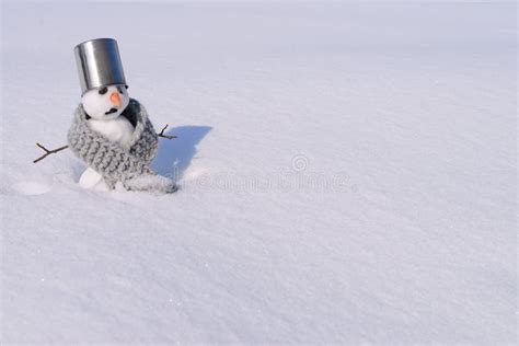 Snowman with carrot nose stock photo. Image of mouth - 295621110