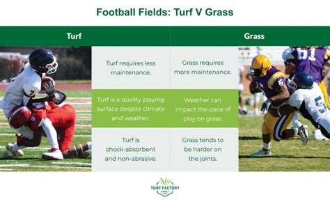 NFL Grass vs. Turf: Which One Is the Best? - Turf Factory