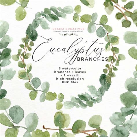 Watercolor Eucalyptus Wreath Branches Clipart PNG | Essem Creatives